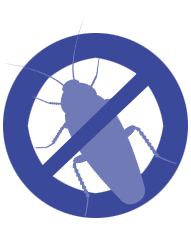 Dedetização na dedetizadora Bio Control