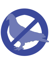 Controle de pombos na Bio Control