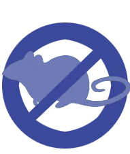 Desratização na dedetizadora Bio Control